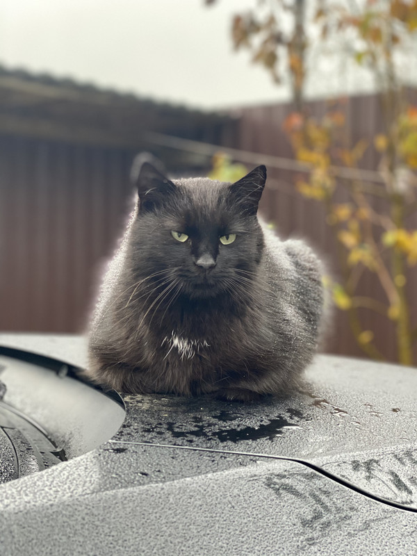 82828CA3-9C8A-4A1D-9A1D-00EBD8A975E5