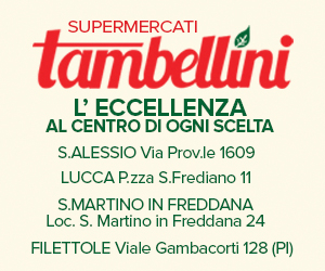 bannertambellini