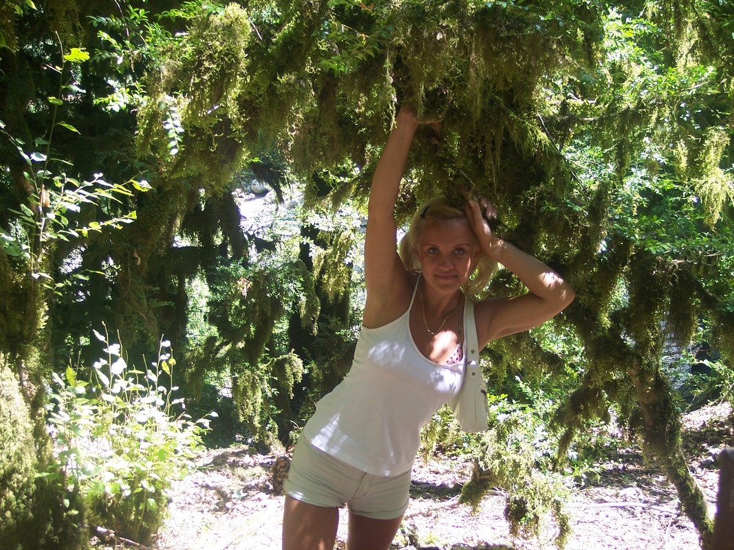 Изображение 279