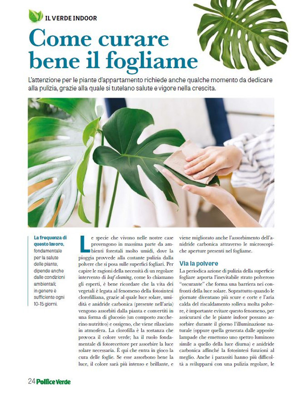 Pol Ver Set 2025 (3)