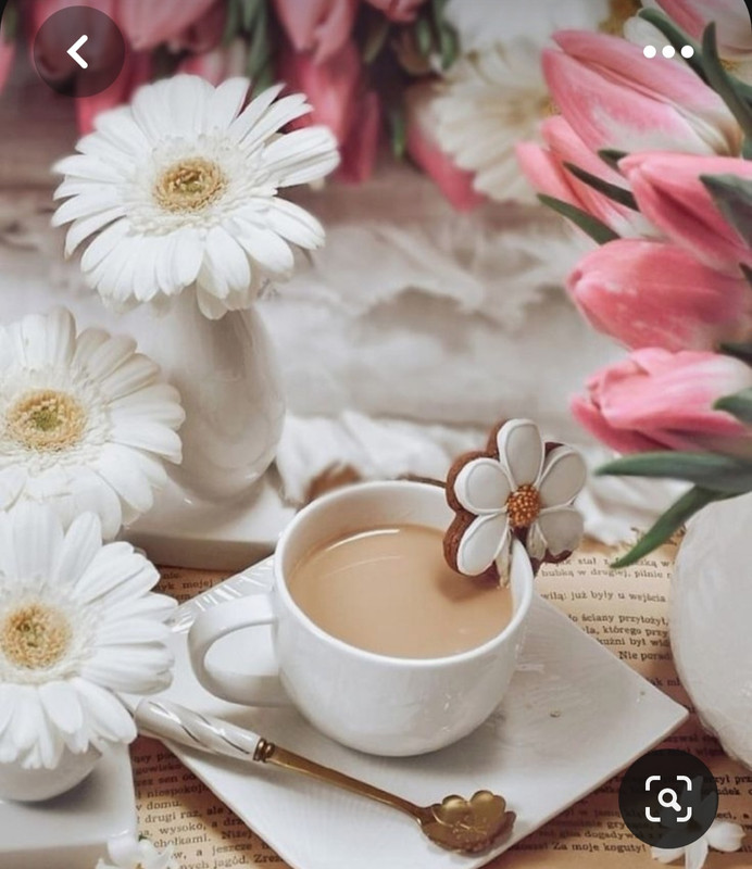 Screenshot_20230622_011835_Pinterest