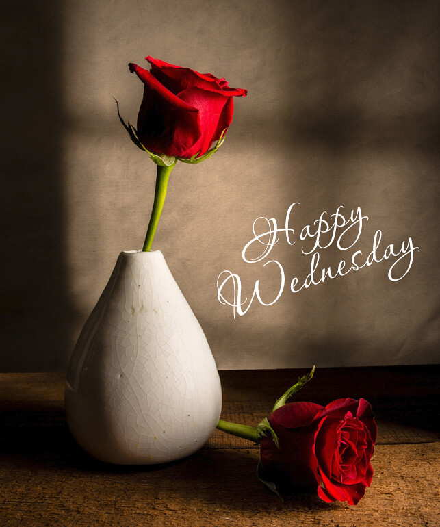 21268848911-1bf3d5250e-c