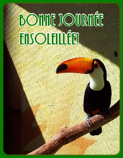 JEUDI 13 JUIN 2019 JOURNEE-ENSOLEILLEE-TOUCAN-A-AGR