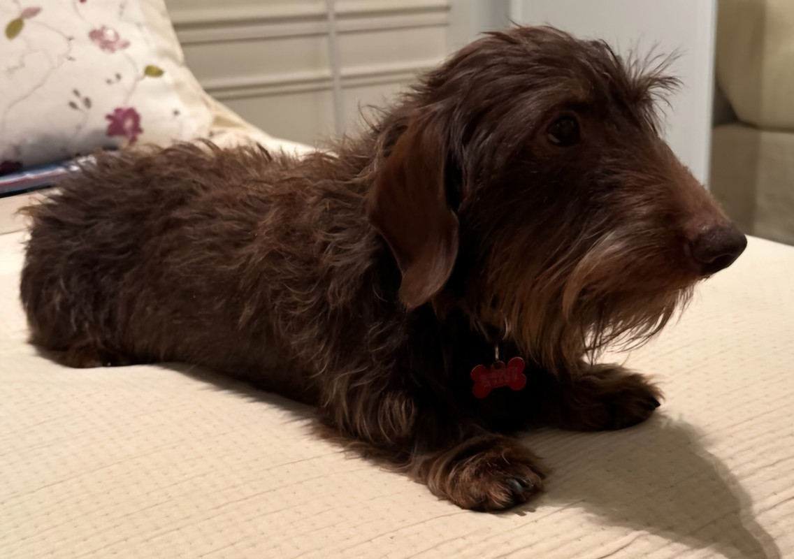 [Image: IMG-20250503-070651.jpg]