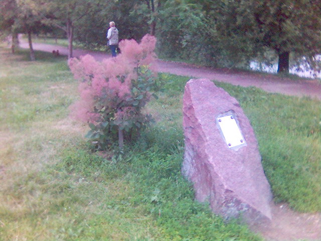 Картинка(204)