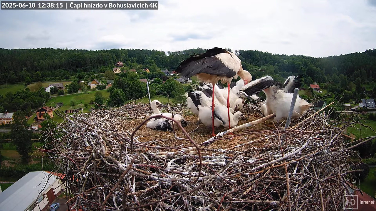 Tiešraide no KARA uzņēmuma stārķu skursteņa Bohuslavicē netālu no Trutnovas 15-12-34 screenshot
