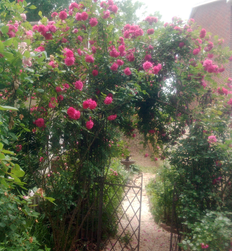 IMG_20210518_135215814