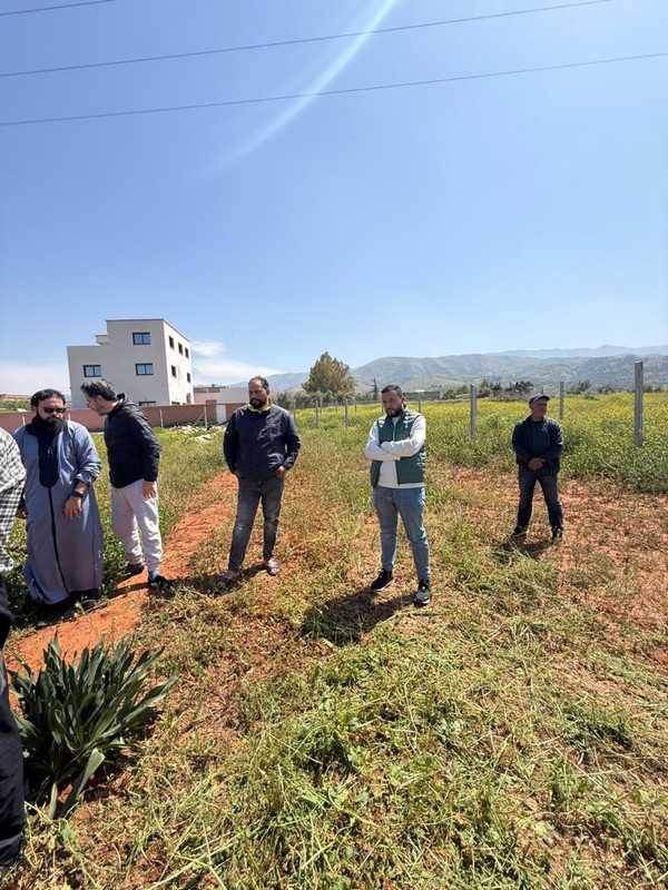 Whats-App-Image-2026-04-06-at-14-17-25-(2)