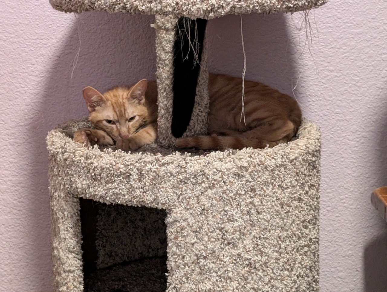 PXL 20260405 070907513