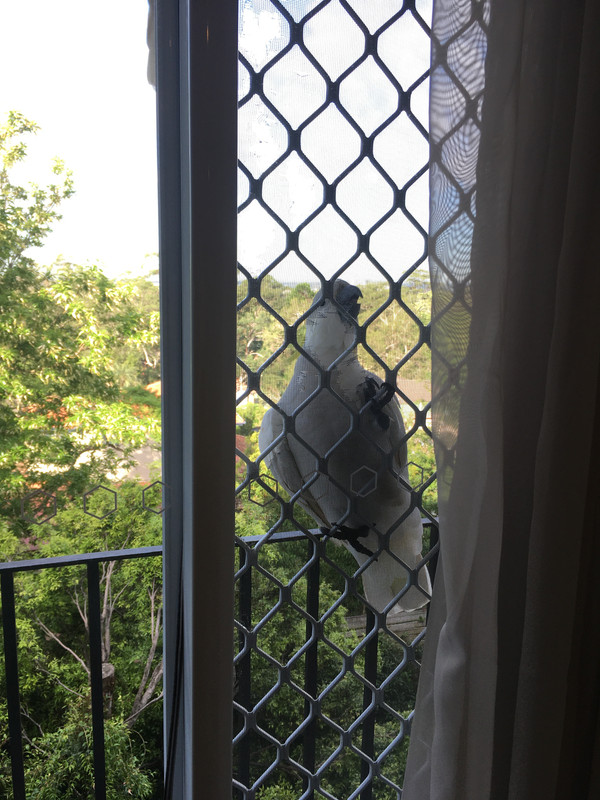 A7C1588A-F4F3-41F5-99BD-CEBA0152754A