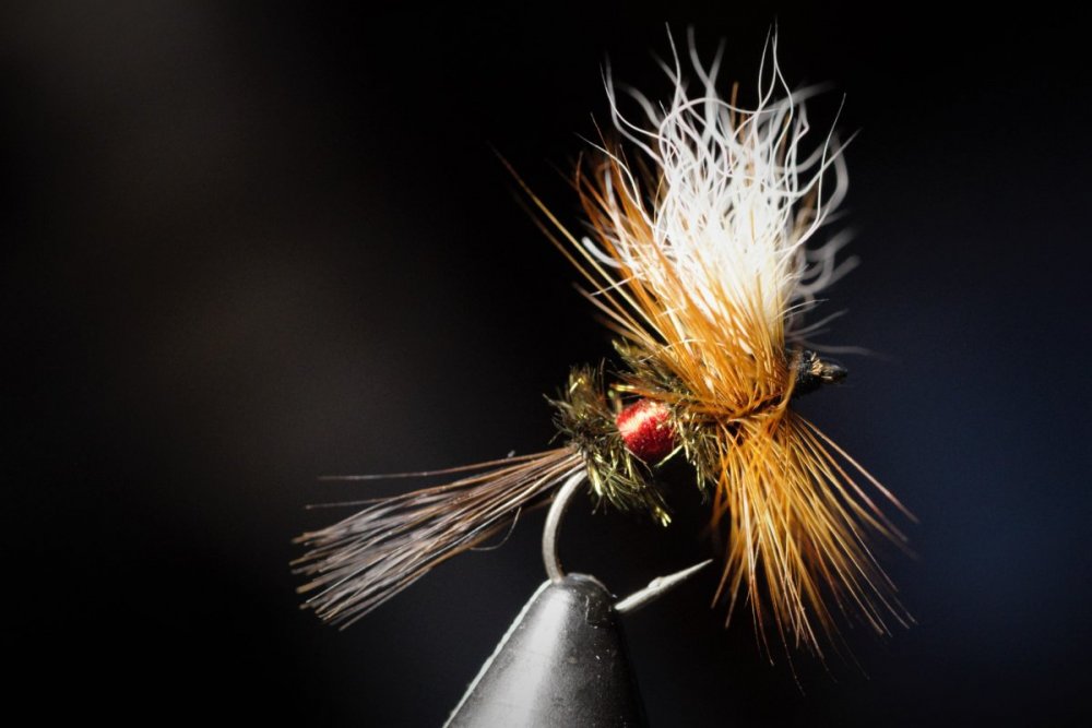 1356747133_RoyalWulff12(2).thumb.jpg.29bf9284544a8151f0f12663ee8bae3b