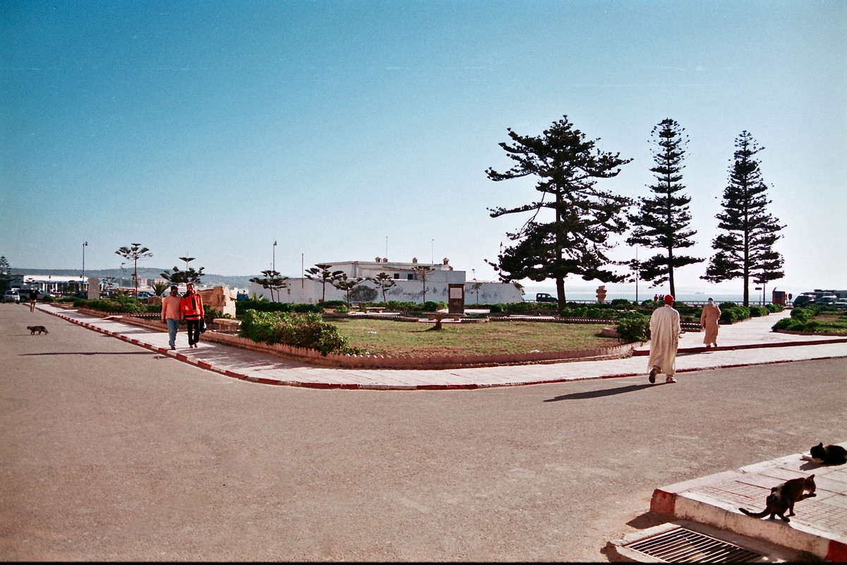La ruta del Surf de Marruecos, Beach-Morocco (111)