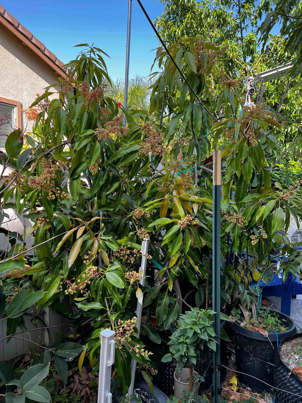 7974CBEA-BE70-42A9-A9DC-19B4E1E716F7remote18cfb9c2c088d6b51f5d12275c97da8918a5513f-1-original