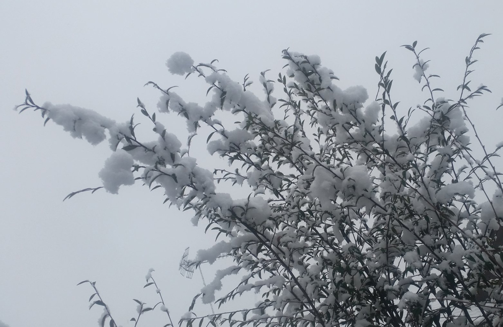 [Image: 27788279-710375862684870-6334487654833573304-o.jpg]