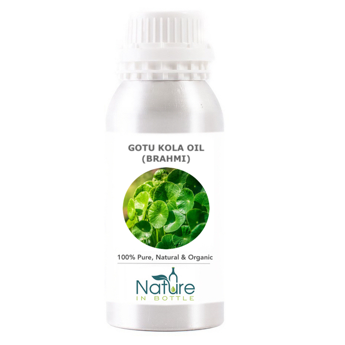 Gotu Kola Olje