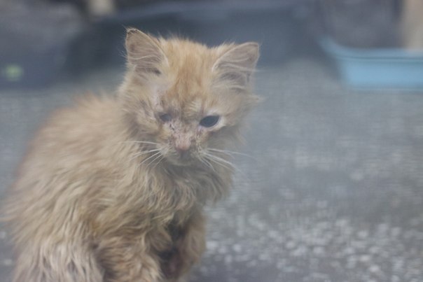 04105308-4DC8-4020-A61E-AE6D5600735A