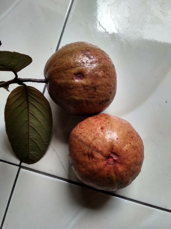 IMG_20171222_075719_HDR