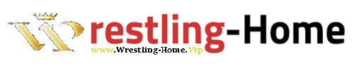 AJPW 2020 02 11 Excite Series Day 1 720p WEB