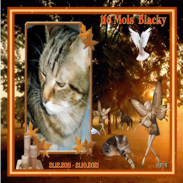 116-MOIS-BLACKY
