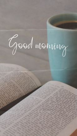 vartotojo įkelta nuotrauka