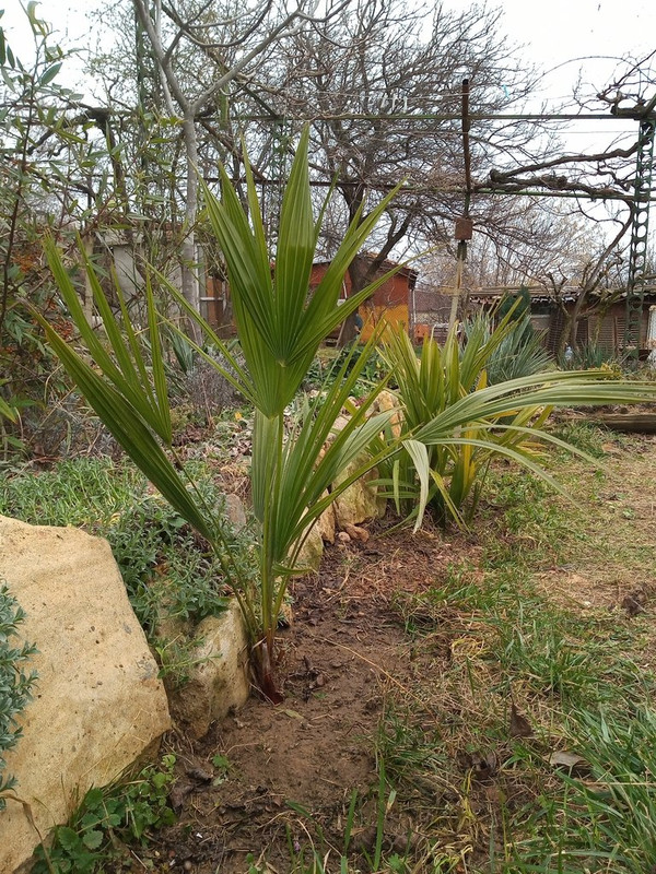 IMG_20220220_113604943