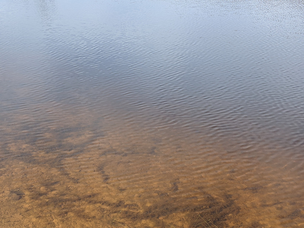 PXL-20231117-144732255.jpg
