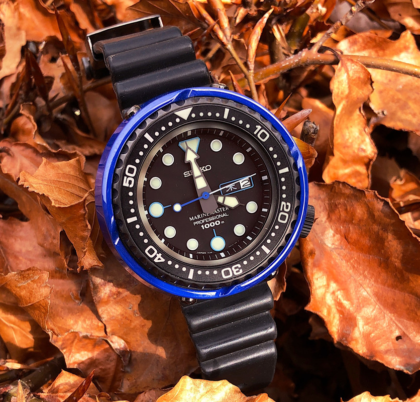 CA44D2C0-3238-40F8-B574-B9DDC1AE8638