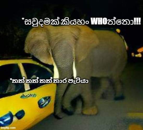 FB-IMG-1656788587007.jpg