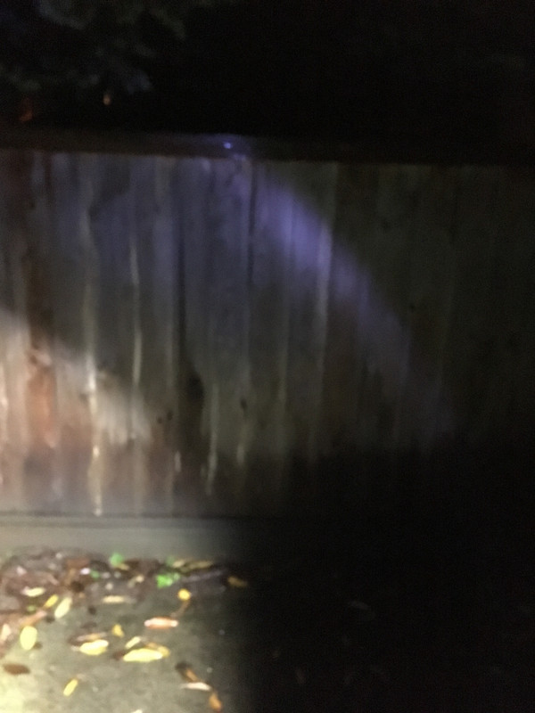 E97A3AD9-D083-4D5D-AE06-462D6DE4940F