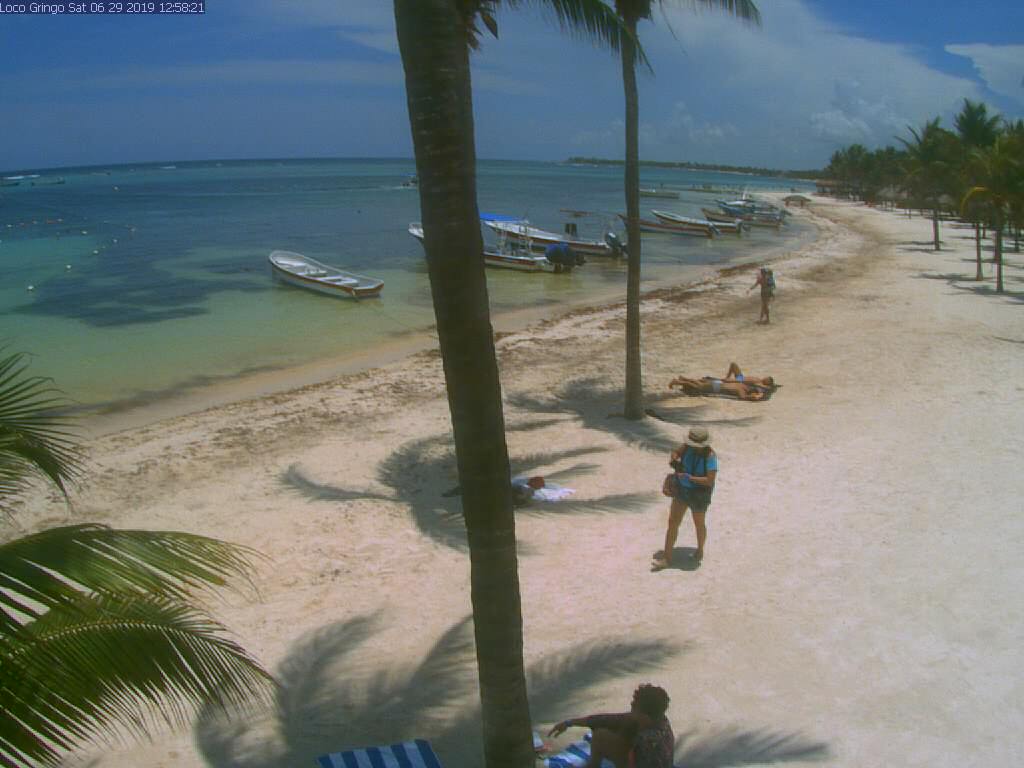 Bienvenidas y despedidas: Foro de Riviera Maya - Foro Riviera Maya y Caribe Mexicano