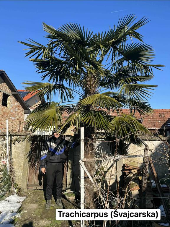 36d3a2cf 2137 473e 8853 d256f6fa369a