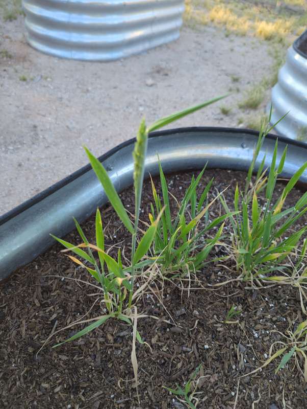 IMG 20260317 180620 013