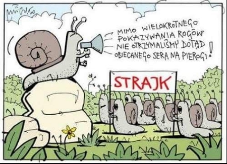 humor.jpg