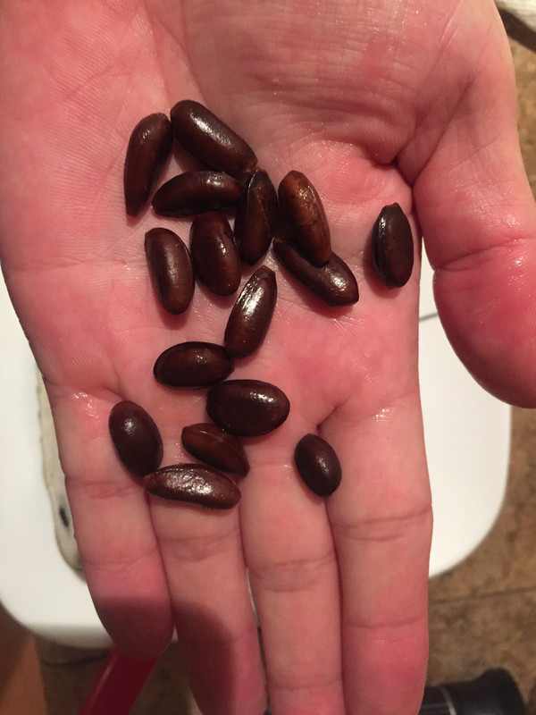 C2DC5C5B-001F-4D7B-A130-8C4F586255E1