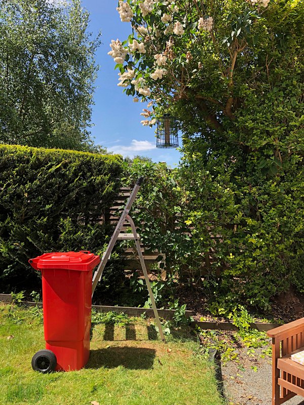 Garden-Red-bin-May-HD.jpg