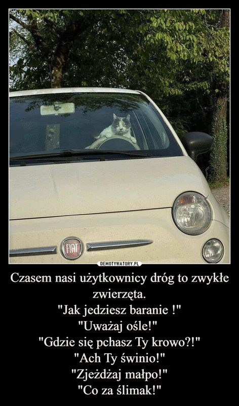 humor.jpg