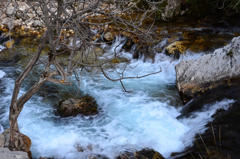 RUTA RIO BOROSA-12-3-2016-JAEN - Paseando por España-1991/2016 (203)