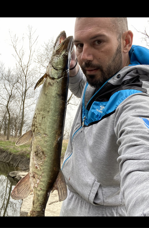 79158639-0846-439B-8B71-DEC178E26B08