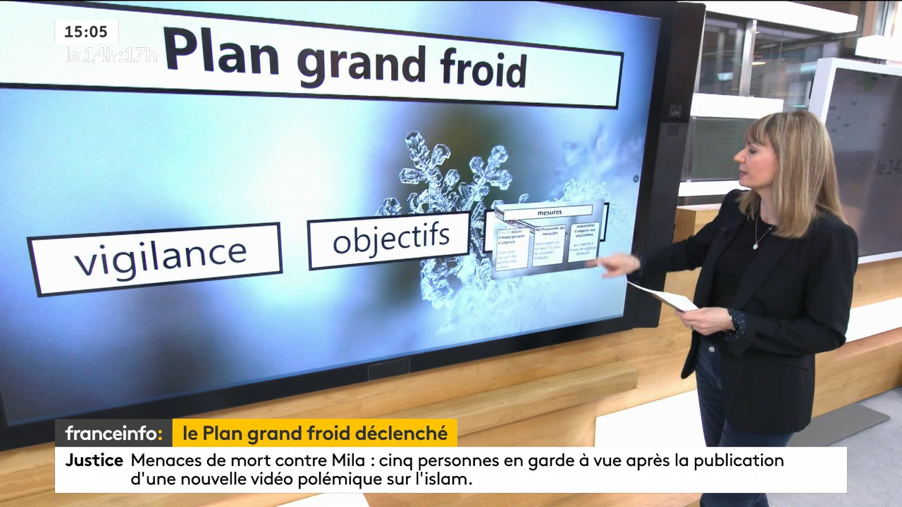 02.09 - 12.59.00 - Le 14h-17h. Au sommaire   Vrai ou fake. - francein..._001.ts_snapshot_00.39.253