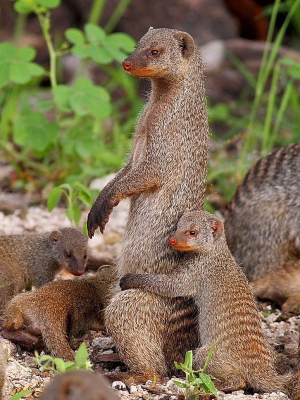 5672DD31 1BA0 4D26 9E24 3CEEDAF7AB61