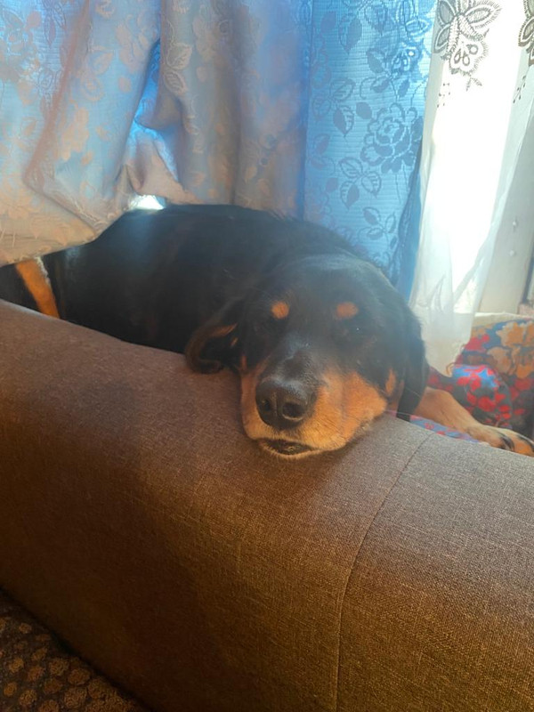 9E424539-EFF2-4F6D-A372-433A3864C0FE