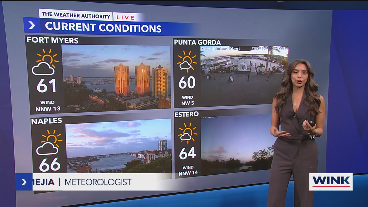 WINK News at 630am_20250306_11301200.ts_snapshot_27.15.896