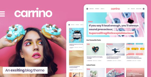 MODELO WORDPRESS