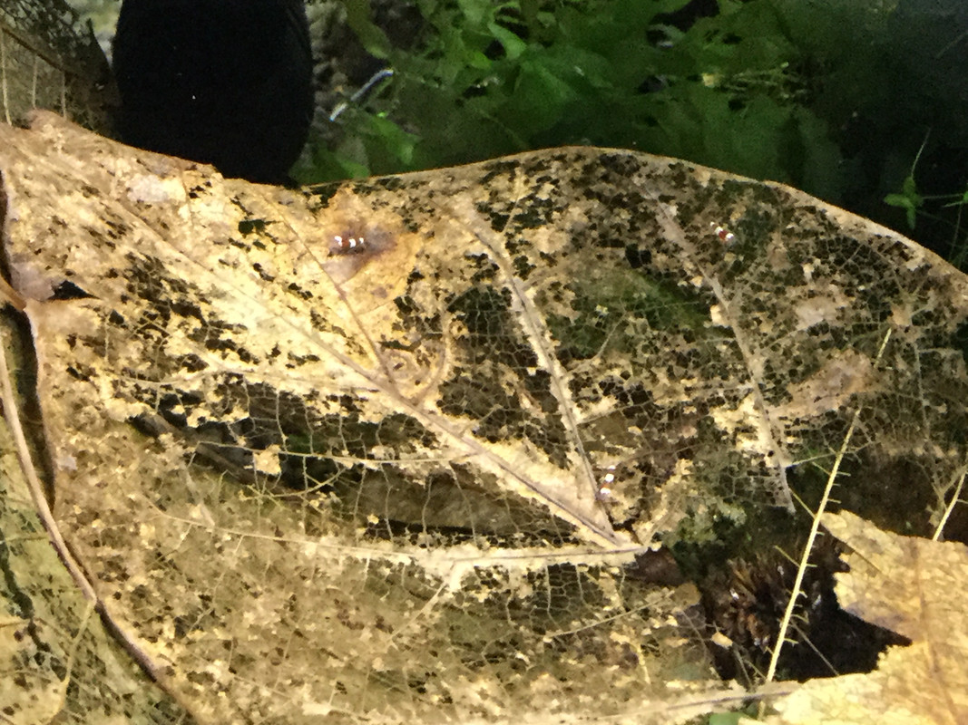 CD6641AC-86A4-4C75-993D-CEE7553ECD1B