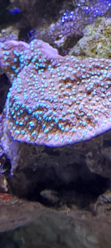 изображение_viber_2021-01-24_13-00-36