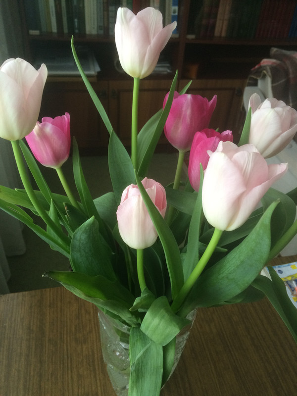 784F96C3-064C-47B9-BD2A-0FC79179115E