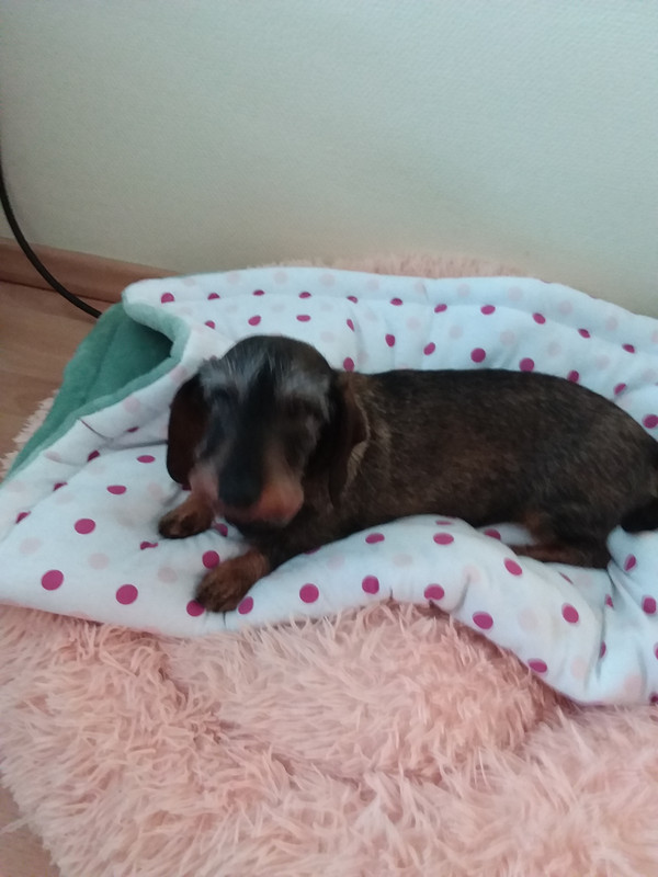 [Image: 20240818-170640.jpg]