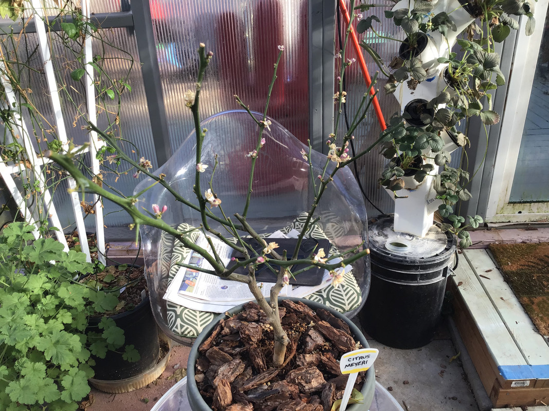 6C88C794-F655-4FF9-BD0C-5E17EC5EC523