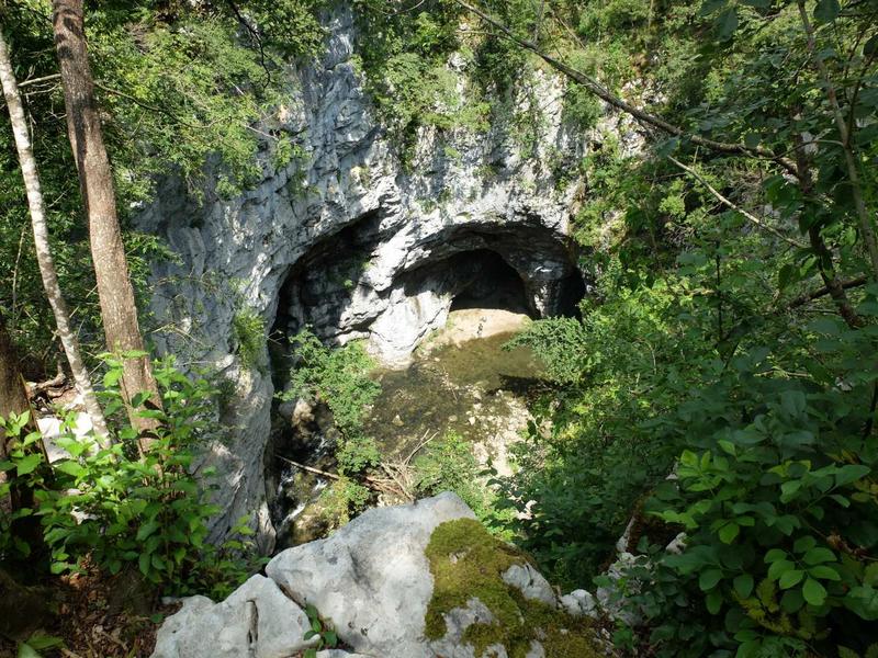 Slika