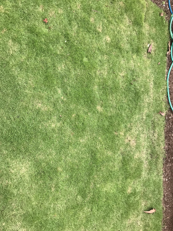 A5444016-8F5B-49BB-9C8F-D9BEDCDF8EAD